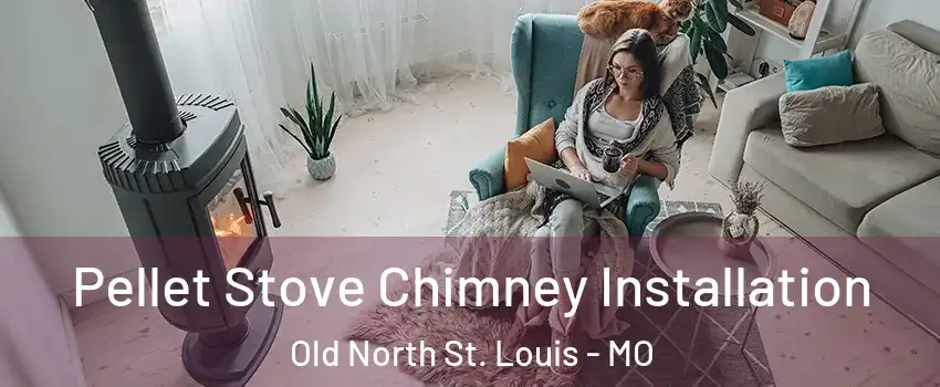 Pellet Stove Chimney Installation Old North St. Louis - MO