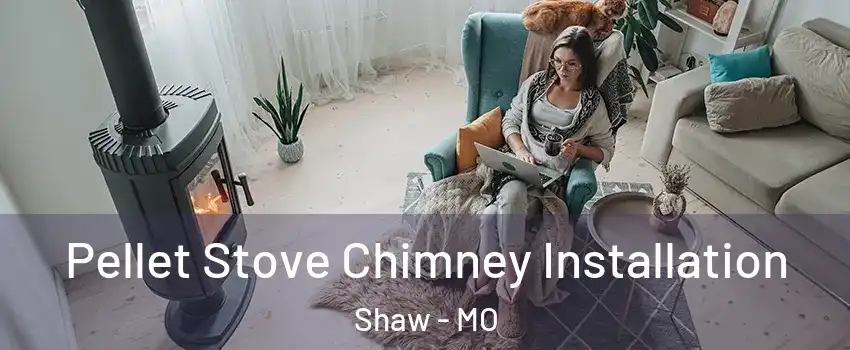 Pellet Stove Chimney Installation Shaw - MO