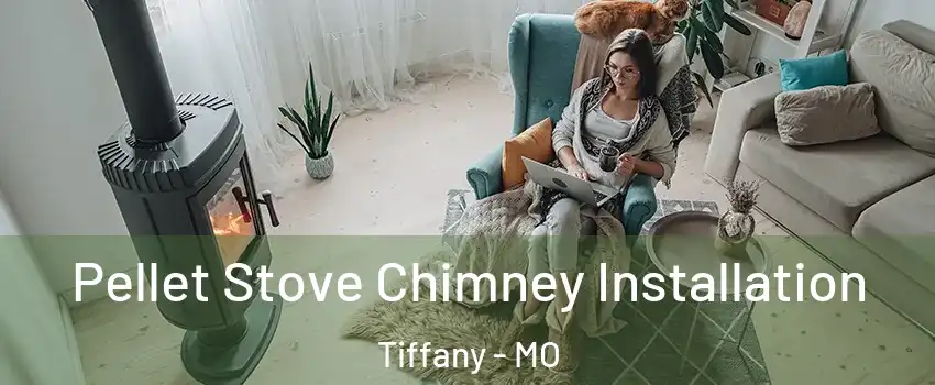 Pellet Stove Chimney Installation Tiffany - MO