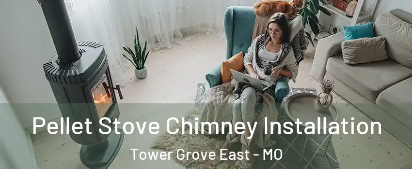 Pellet Stove Chimney Installation Tower Grove East - MO
