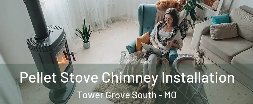 Pellet Stove Chimney Installation Tower Grove South - MO
