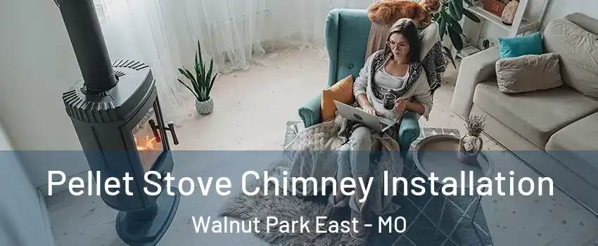 Pellet Stove Chimney Installation Walnut Park East - MO