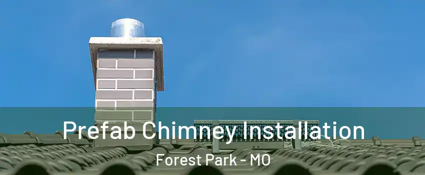 Prefab Chimney Installation Forest Park - MO