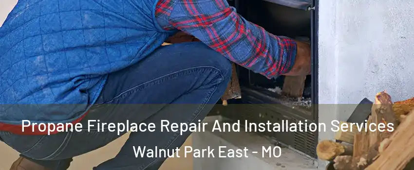 Propane Fireplace Repair And Installation Services Walnut Park East - MO
