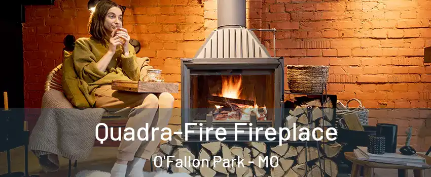 Quadra-Fire Fireplace O'Fallon Park - MO