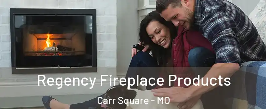 Regency Fireplace Products Carr Square - MO