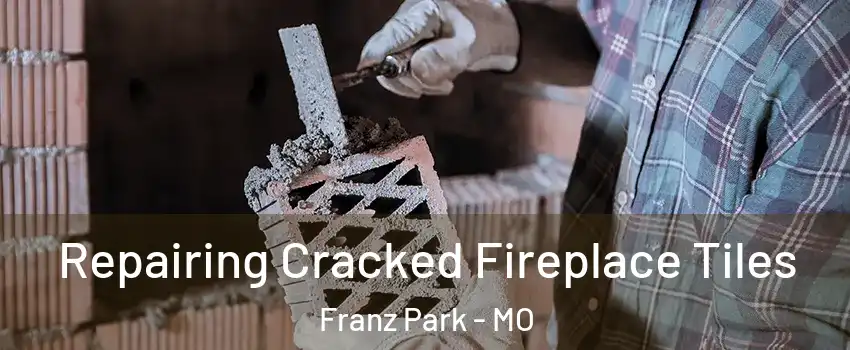 Repairing Cracked Fireplace Tiles Franz Park - MO