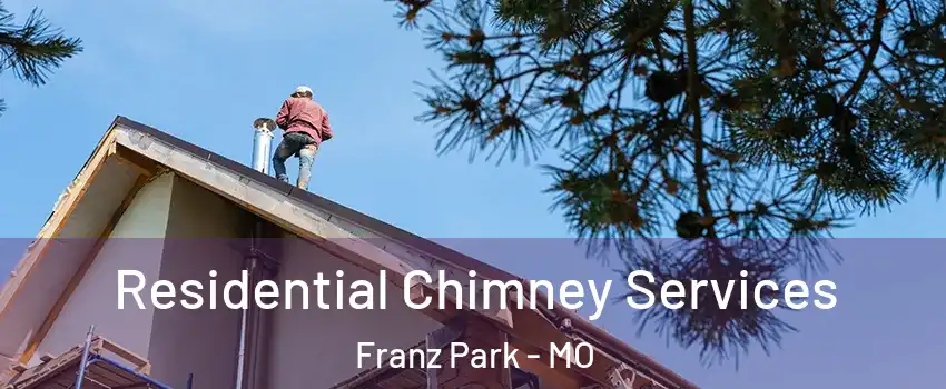 Residential Chimney Services Franz Park - MO