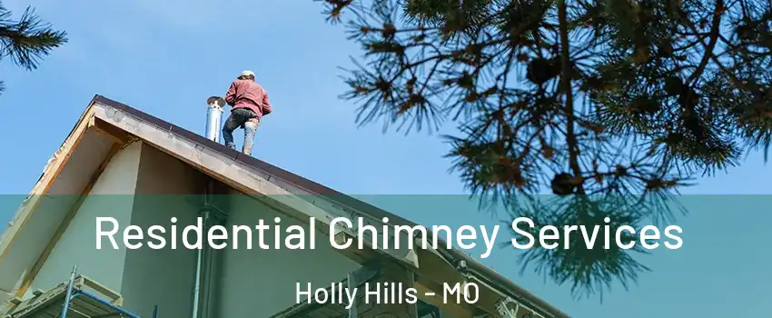 Residential Chimney Services Holly Hills - MO