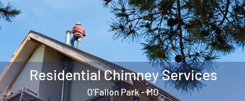 Residential Chimney Services O'Fallon Park - MO