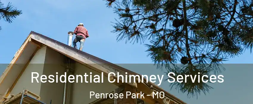 Residential Chimney Services Penrose Park - MO