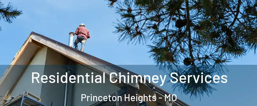 Residential Chimney Services Princeton Heights - MO
