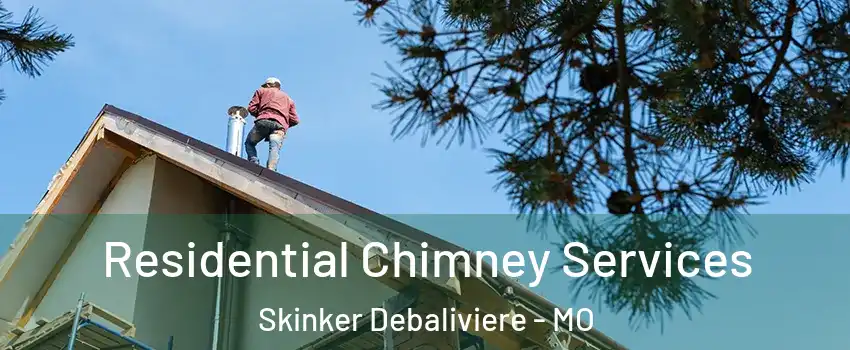 Residential Chimney Services Skinker Debaliviere - MO