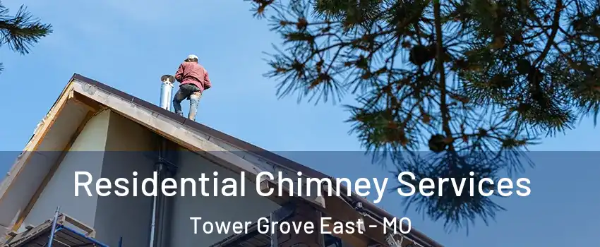 Residential Chimney Services Tower Grove East - MO