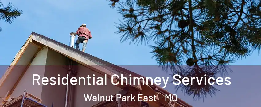 Residential Chimney Services Walnut Park East - MO
