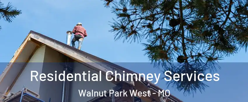 Residential Chimney Services Walnut Park West - MO