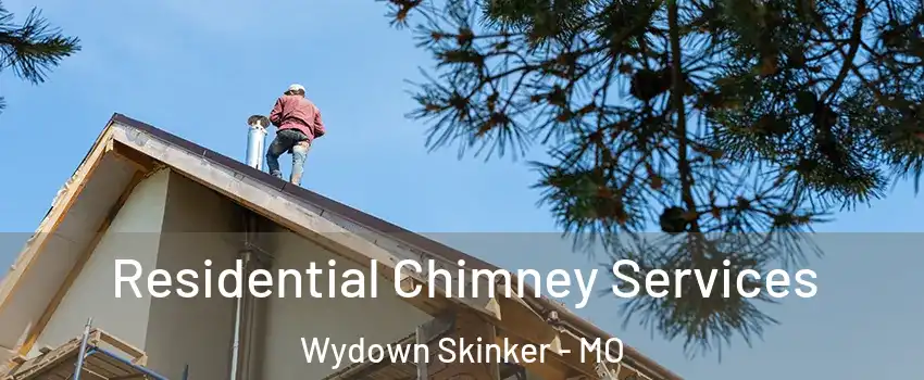 Residential Chimney Services Wydown Skinker - MO