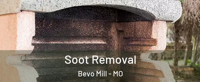 Soot Removal Bevo Mill - MO