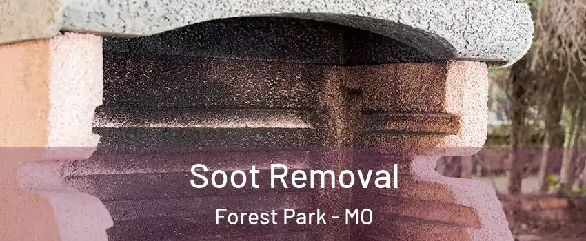 Soot Removal Forest Park - MO
