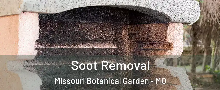 Soot Removal Missouri Botanical Garden - MO