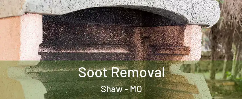Soot Removal Shaw - MO