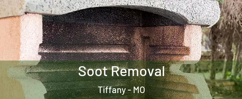 Soot Removal Tiffany - MO