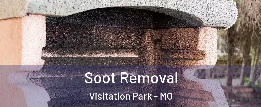 Soot Removal Visitation Park - MO