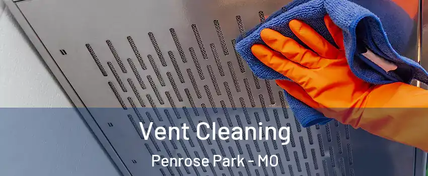 Vent Cleaning Penrose Park - MO