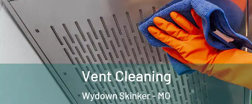 Vent Cleaning Wydown Skinker - MO