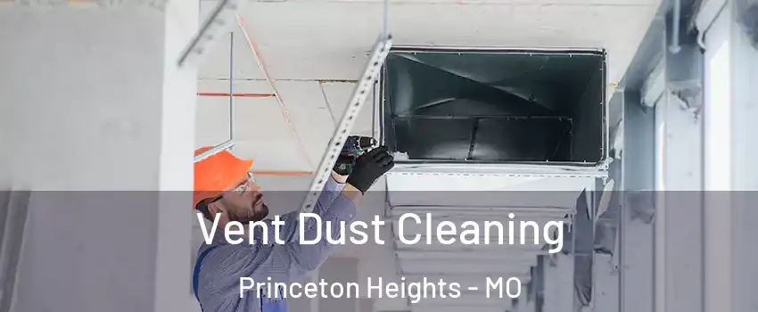 Vent Dust Cleaning Princeton Heights - MO