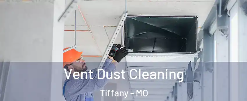 Vent Dust Cleaning Tiffany - MO