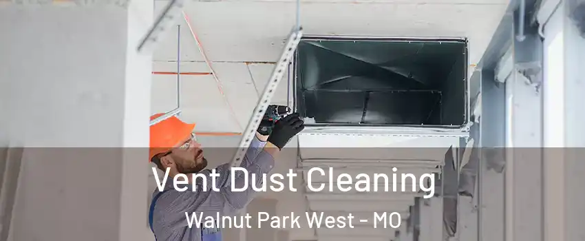 Vent Dust Cleaning Walnut Park West - MO