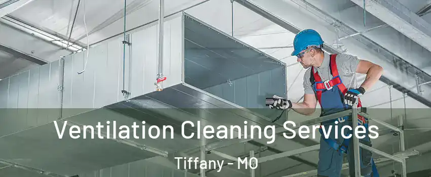 Ventilation Cleaning Services Tiffany - MO