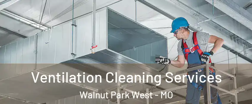 Ventilation Cleaning Services Walnut Park West - MO