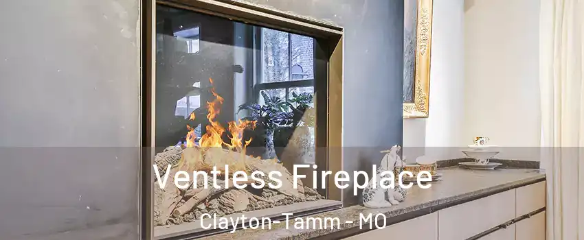 Ventless Fireplace Clayton-Tamm - MO