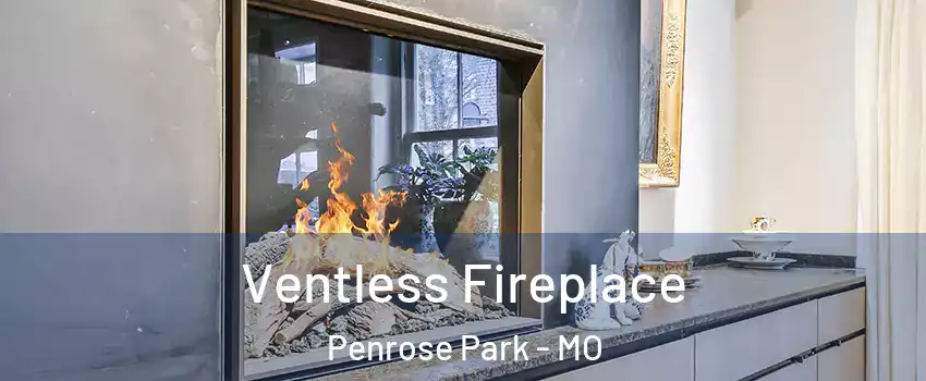 Ventless Fireplace Penrose Park - MO