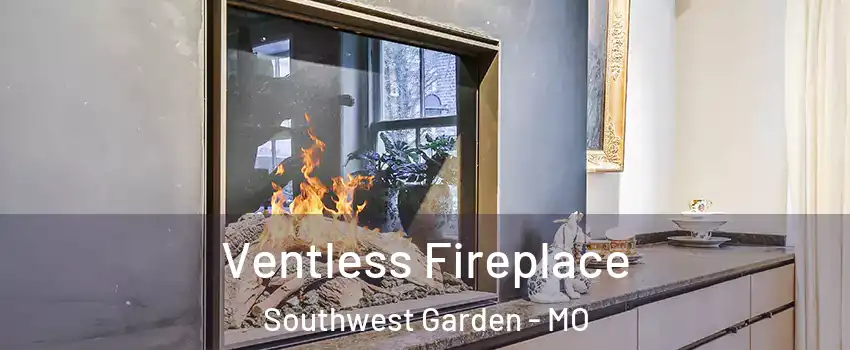 Ventless Fireplace Southwest Garden - MO