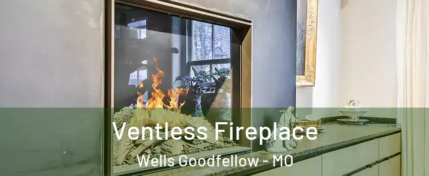 Ventless Fireplace Wells Goodfellow - MO