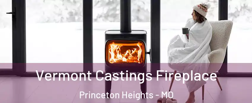 Vermont Castings Fireplace Princeton Heights - MO