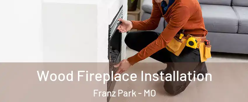 Wood Fireplace Installation Franz Park - MO