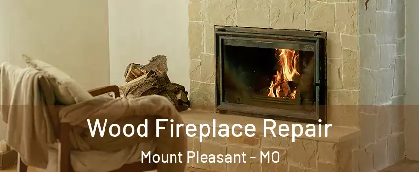 Wood Fireplace Repair Mount Pleasant - MO