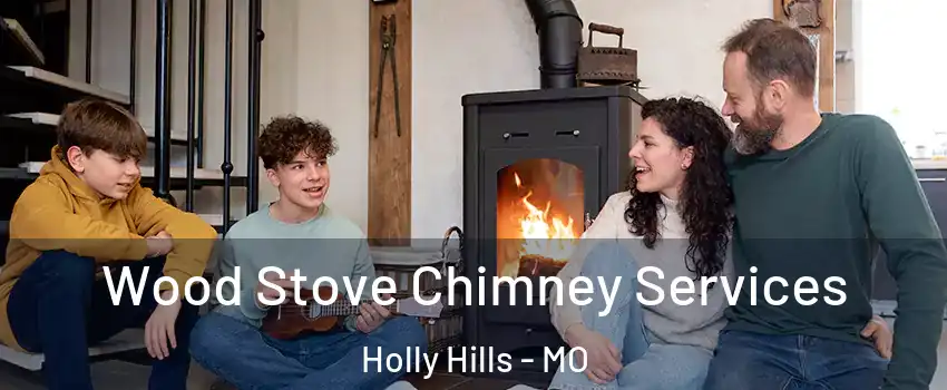 Wood Stove Chimney Services Holly Hills - MO