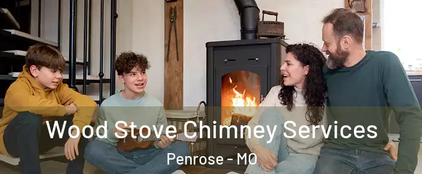 Wood Stove Chimney Services Penrose - MO