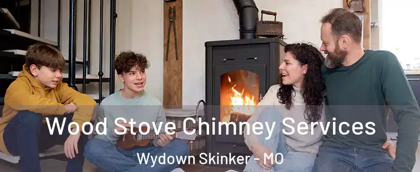 Wood Stove Chimney Services Wydown Skinker - MO