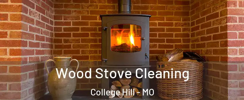 Wood Stove Cleaning College Hill - MO