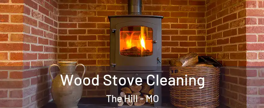 Wood Stove Cleaning The Hill - MO