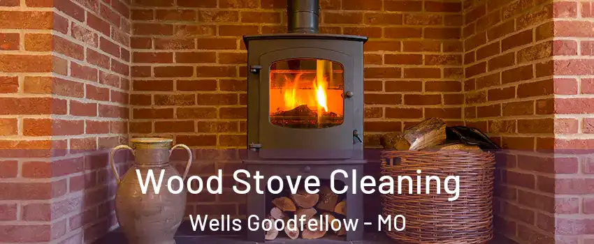 Wood Stove Cleaning Wells Goodfellow - MO