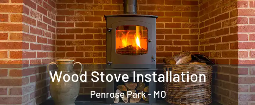 Wood Stove Installation Penrose Park - MO