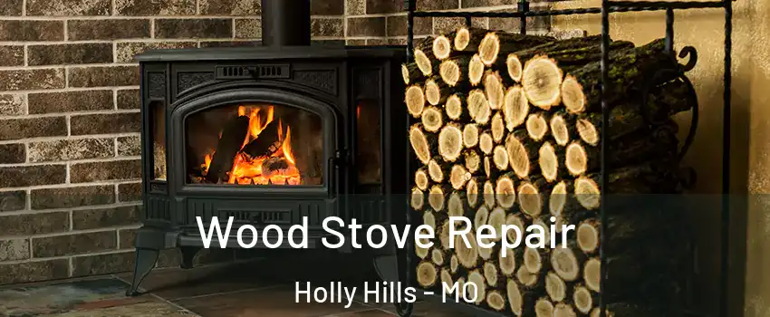Wood Stove Repair Holly Hills - MO